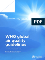 WHO Global Air Quality Guidelines: Executive Summary