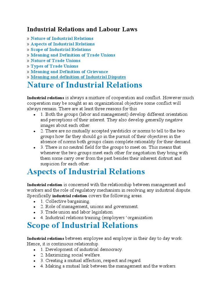 Understanding Industrial Relations Dynamics | PDF | Employment | Trade ...