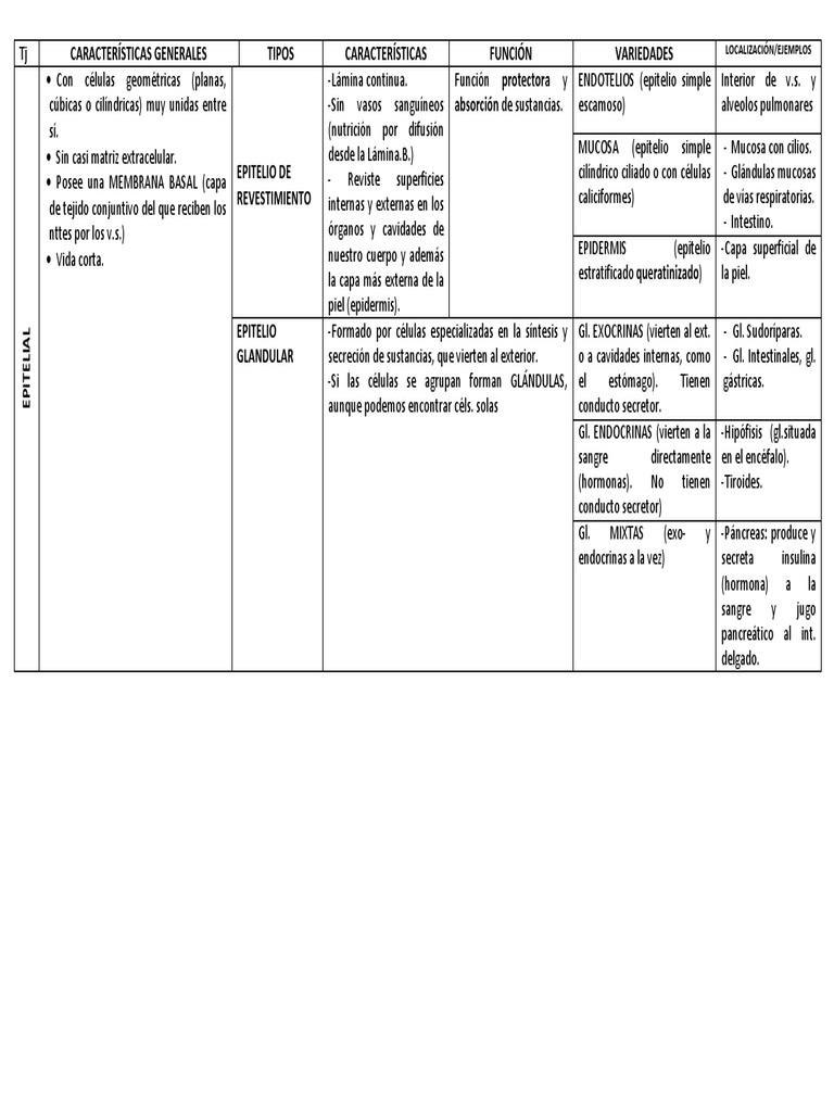 tabla-de-tejidos-pdf-epitelio-hueso