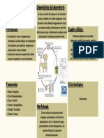 Diagnóstico laboratorio tenia