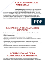 Qué es la contaminación ambiental y sus causas