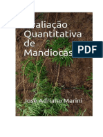 Avaliação Quantitativa Mandiocas