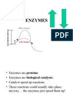 Chemical Reactions and Enzymes PreAP 1st 3