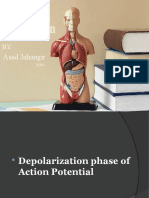 Physiology of Depolarization