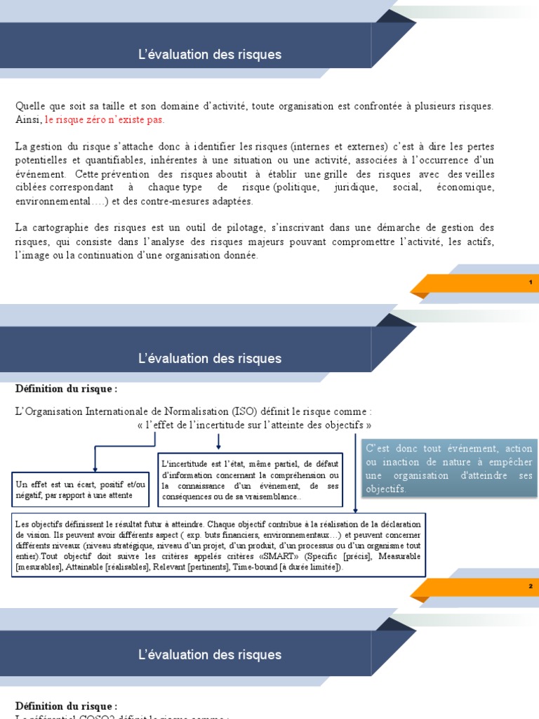 Gestion Des Risques D'un Projet PDF Risque Gestion des risques