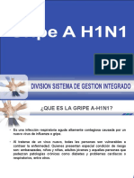 Gripe AH1N1