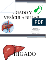 Higado y Vesicula Biliar