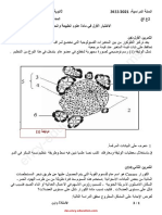 Dzexams 2as Sciences 3055313