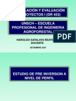 Diapositiva V Resumen Ejecutivo de Un Proyecto A Nivel de Perfil (Pre Inversion)