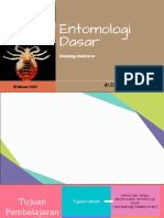 Entomologi Dasar Blok 4 2022