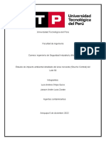 Analisis Del Impacto Ambiental Proyeto