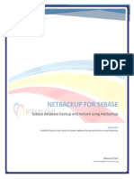 Netbackup For Sybase