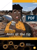 SPELDSA Set 2 Ants at The Tip PowerPoint