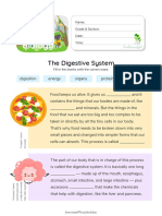 2 How The Digestive System Works Worksheet For Grade 2