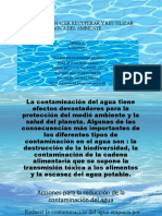 La Contaminacion Del Agua y Causas