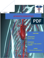 Aparato Digestivo