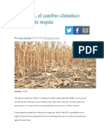 Argentina, El Cambio Climático Parió A Esta Sequía