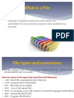 What is a File Types and Extensions