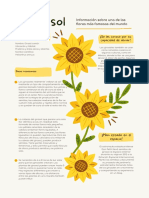 Girasol Todoinfo