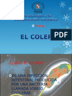 Diapositivasdelcolera 131107083400 Phpapp02