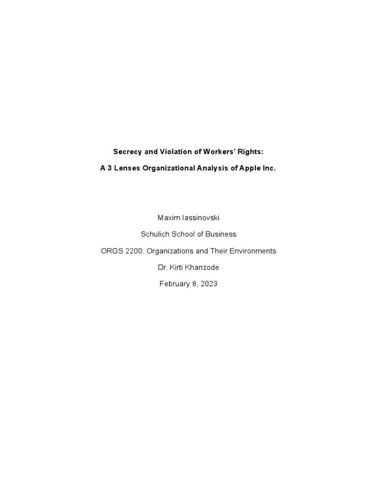 3 Lenses Assignment PDF Incentive Employment