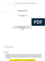 Informe Preliminar Acueductos Finalisimo