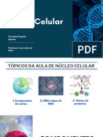 Núcleo Celular: Componentes, DNA, RNA e Síntese de Proteínas