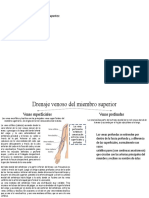 Mi Resumen de Anatomia