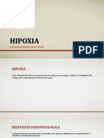 Hipoxia - ELFR JOSE ROBERTO MALDONADO