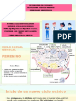 Eje Hipotàlamo Hipòfisis Ovarios