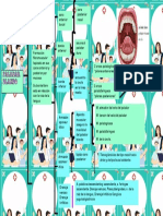 Anatomia Paladar Blando Cuadro Sipnotico