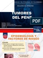 Tumor de Pene