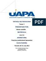 Práctica profesional en psicología: objetivos, funciones y competencias evaluadas