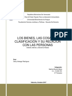 Los Bienes, Las Cosas Su Clasificación