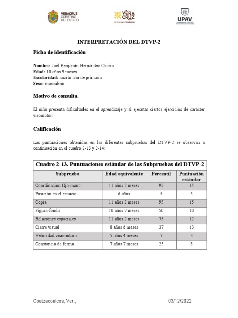 INTERPRETACIÓN DEL DTVP | PDF | Cognición | Ciencia cognitiva