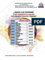 Copa Voley-2020torneo F2