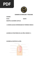 Guía Completa de Anatomía y Salud de Uñas | PDF | Clavo (anatomía ...