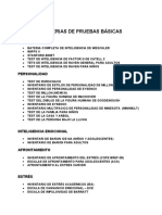 Pruebas Psicologicas