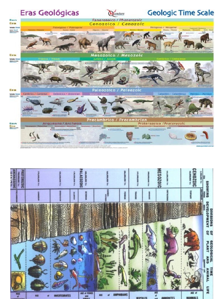 Eras Geológicas | PDF