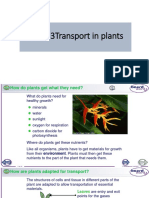 Plant Transport