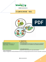 Ukbm 3.2.metabolisme Sel KB 1