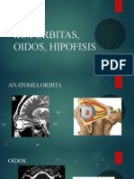 Presentacion Orb, Hipofisis, Oidos