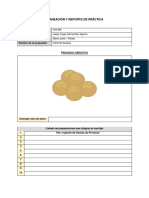 Planeación y Reporte de Práctica - Practica 5 Pan