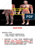 Anatomi-Fisiologi Dasar
