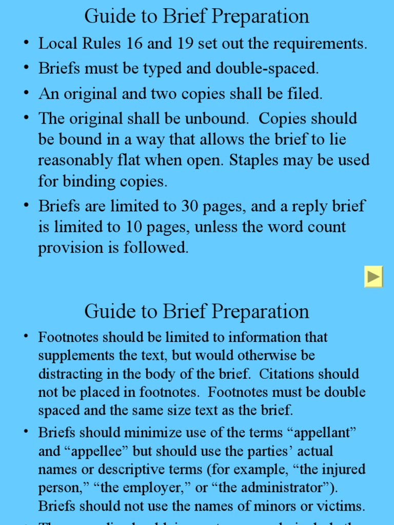 Guide To Brief Preparation PDF Brief (Law) Appeal