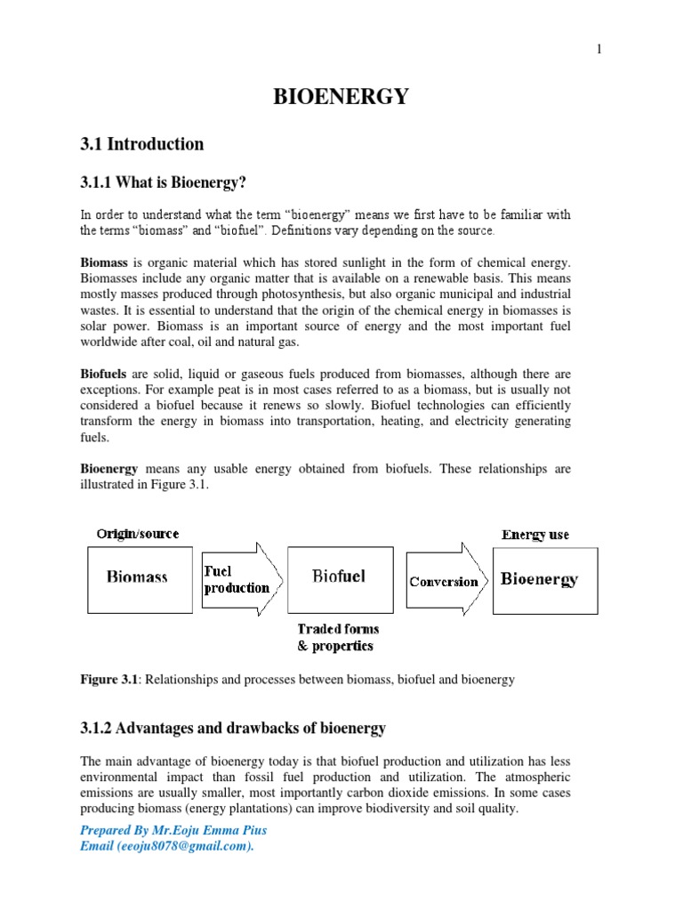 3 Bioenergy | PDF | Biomass | Boiler