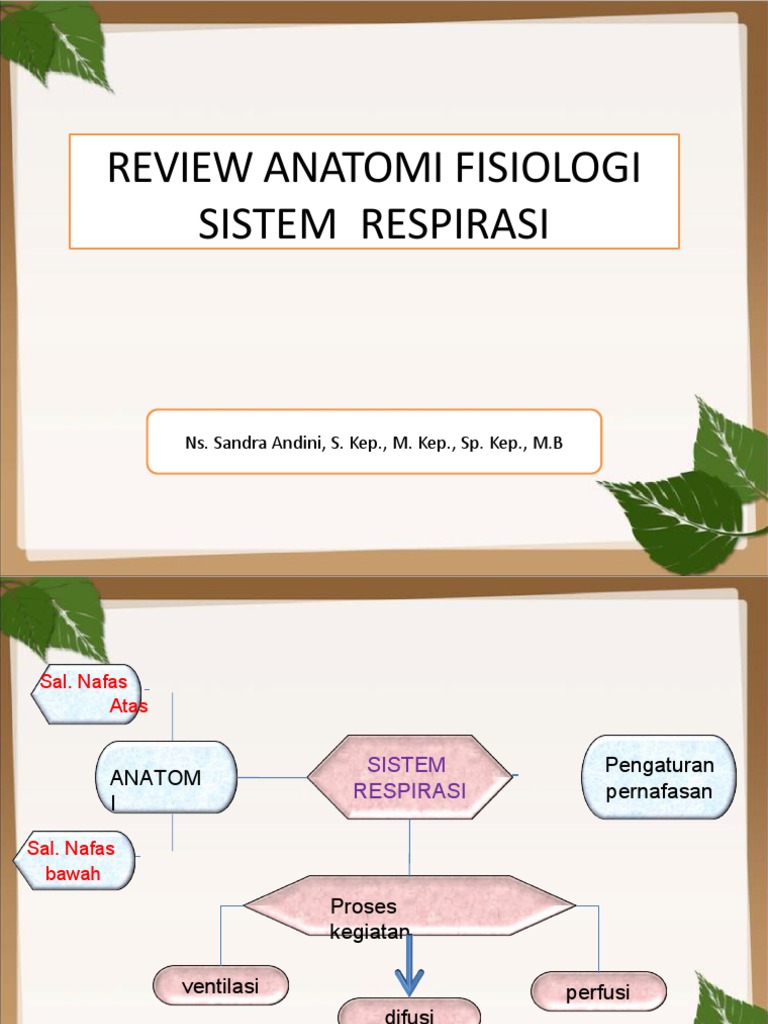 Reveiw Anatomi Fisiologi Sistem Respirasi | PDF