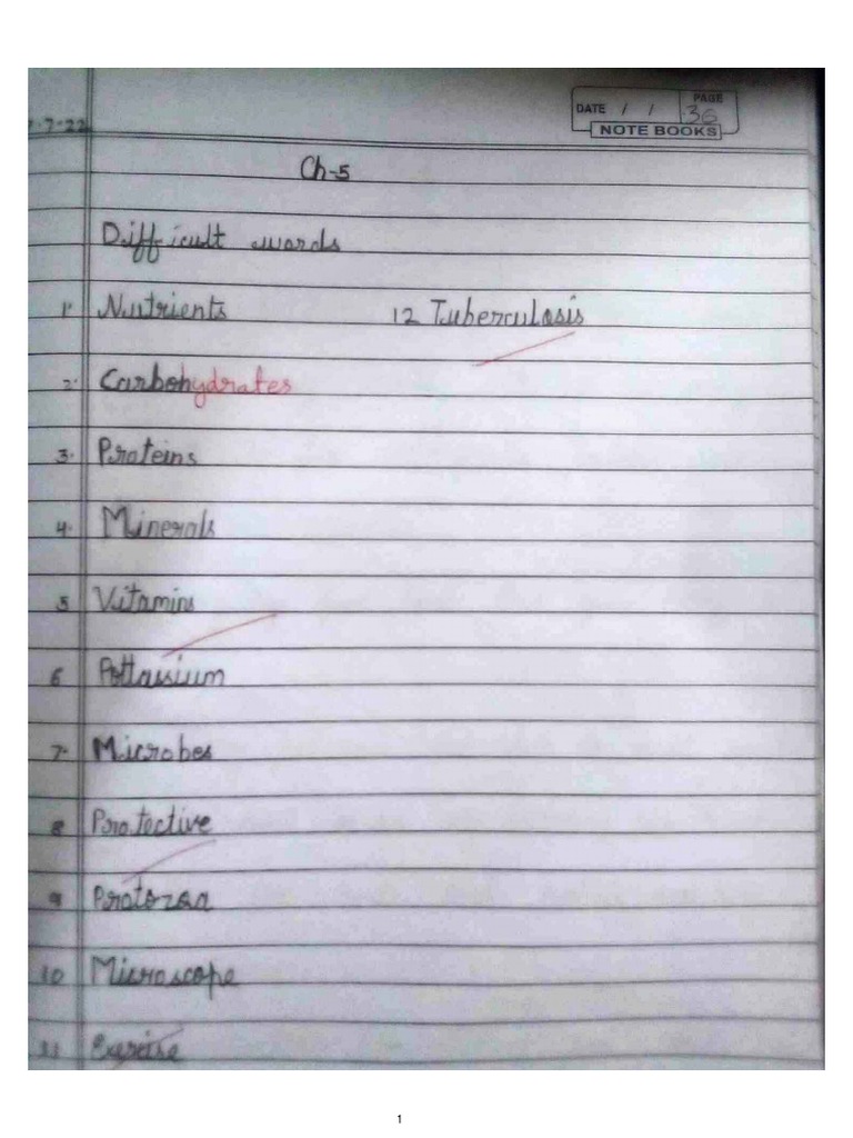 Grade 4 CH 5 Science | PDF