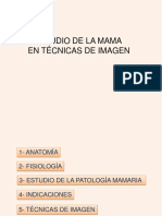 Estudio de La Mama