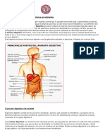 Digestión nutrientes